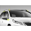 Side of side stickers CITRUS for the upper area Peugeot 2008