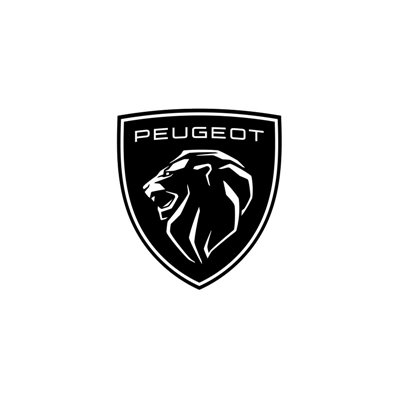 Rotulador de retoque de pintura Peugeot - GRIS TITANIO (EYZ)