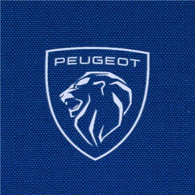 Vehicle registration document case Peugeot ALLURE